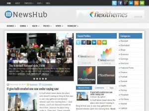 Preview NewsHub theme