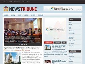 Preview NewsTribune theme