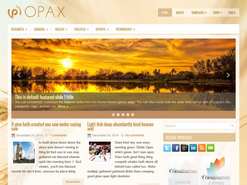 Preview Opax theme