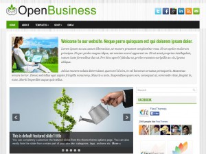 Preview OpenBusiness theme