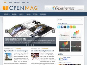 Preview OpenMag theme
