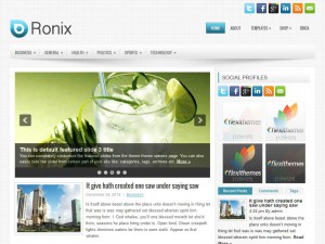 Preview Ronix theme