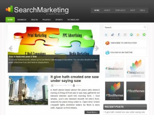Preview SearchMarketing theme