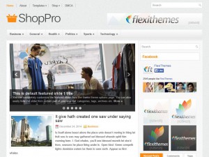 Preview ShopPro theme