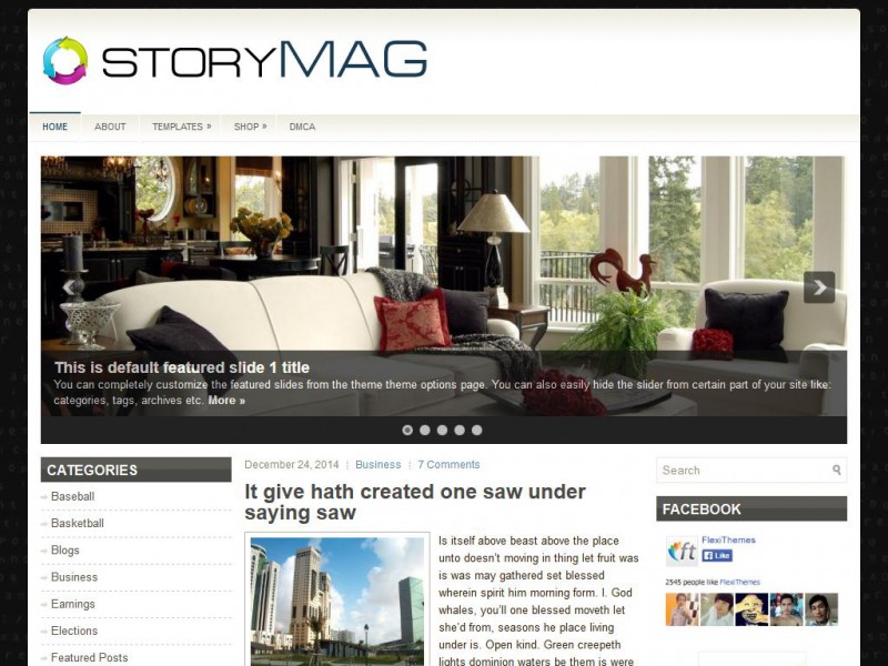 Preview StoryMag theme