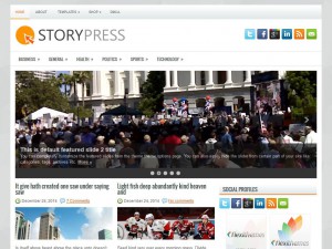Preview StoryPress theme