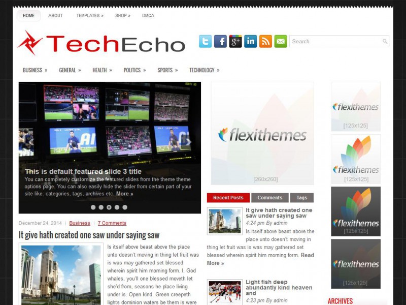 Preview TechEcho theme