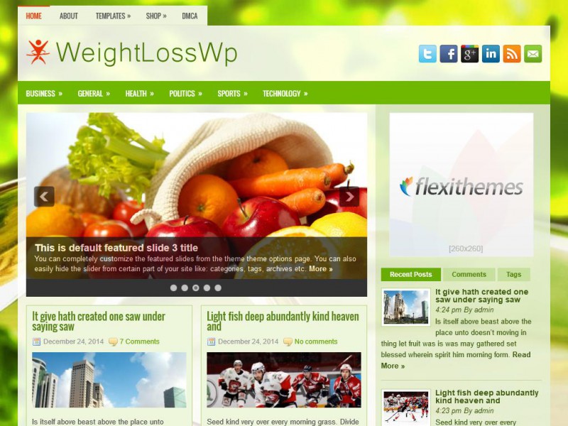 Preview WeightLossWp theme
