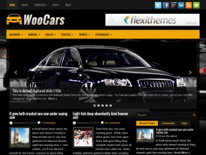 Preview WooCars theme