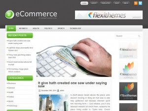 Preview eCommerce theme