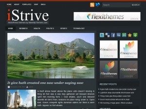 Preview iStrive theme
